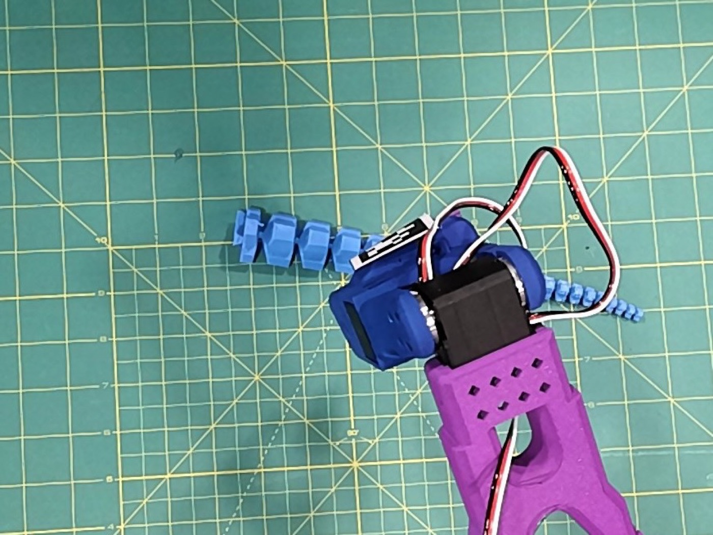 The tentacle, center frame, on the green cutting mat